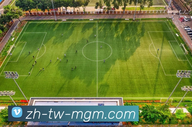 美高梅官网我们坚信创新是成功的关键，不断投资于研发。美高梅平台我们关注员工的职业发展，提供导师和培训机会。美高梅集团官网全站App